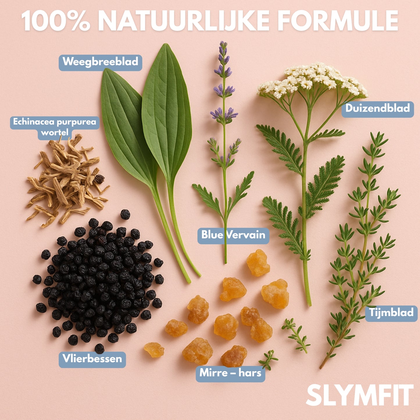 SLYMFIT | Double Chin Detox Elixir
